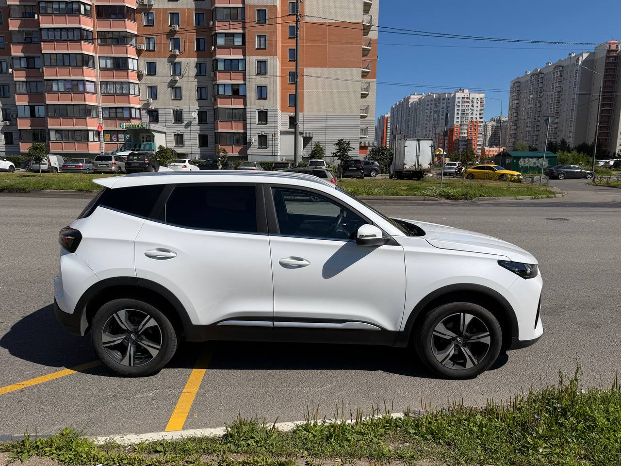 Зоотакси Москва — автомобиль для перевозки собак и кошек
